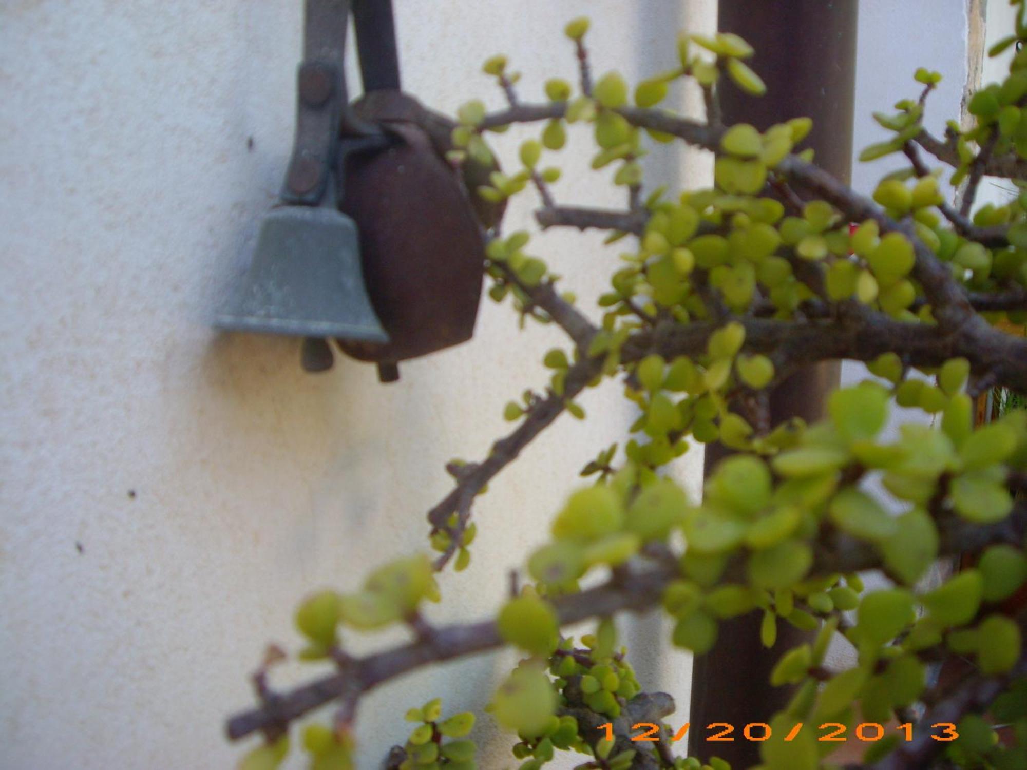 La Bianca Scogliera Bed and Breakfast Realmonte Εξωτερικό φωτογραφία