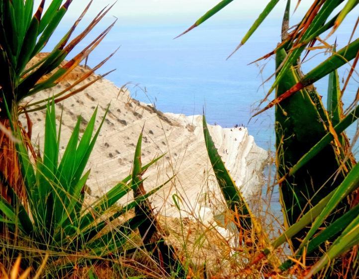 La Bianca Scogliera Bed and Breakfast Realmonte Εξωτερικό φωτογραφία