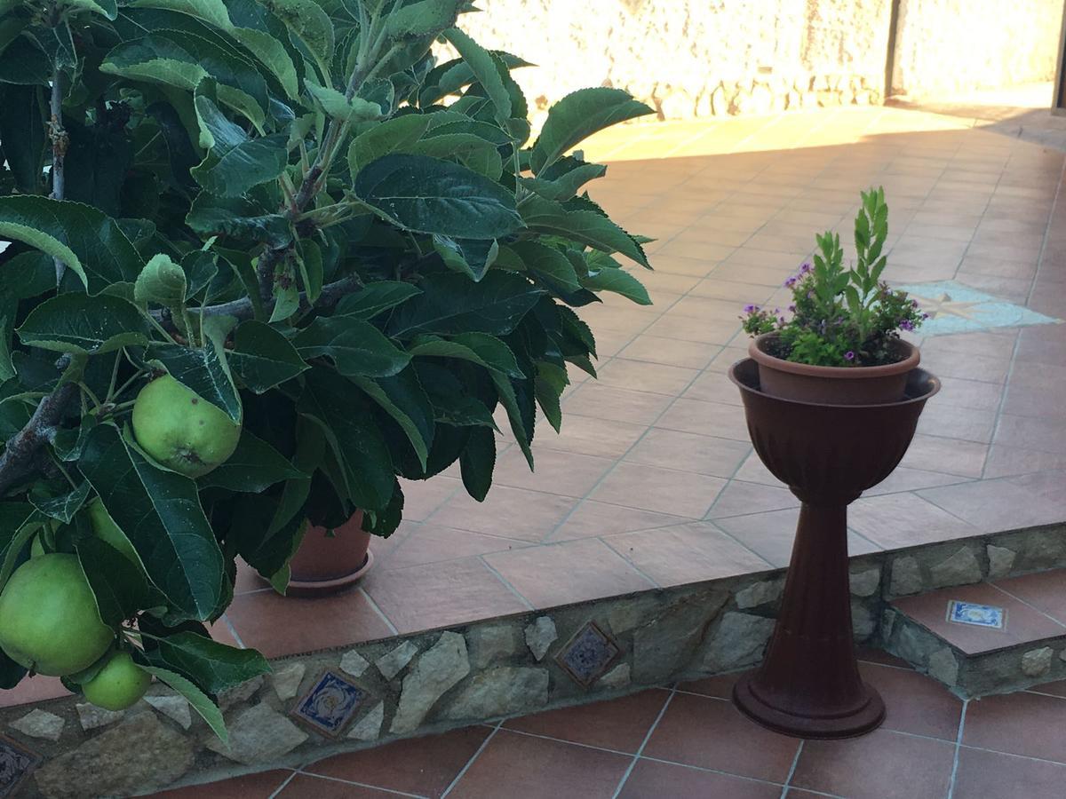 La Bianca Scogliera Bed and Breakfast Realmonte Εξωτερικό φωτογραφία